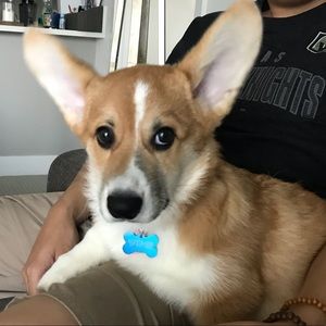 Meet your Posher, Chelsea